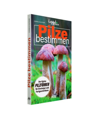 Pilze bestimmen der - -, kleine