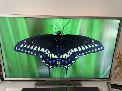 Pollici philips - 55,