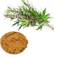 Motherwort 10:1 Estratto in