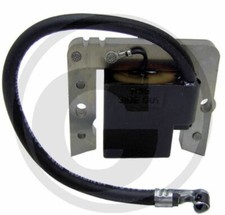 Bobina accensione elettrico
