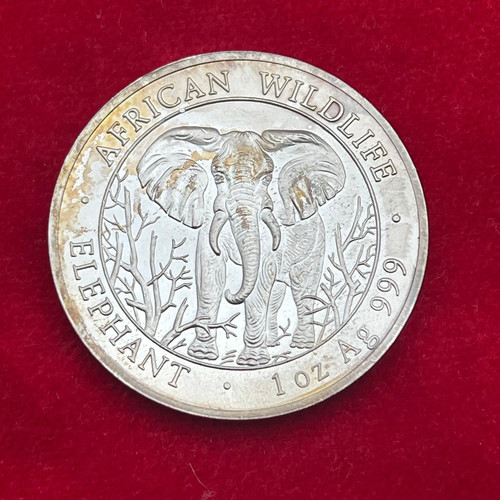 1000 scellini somalia 2004 - 1000,