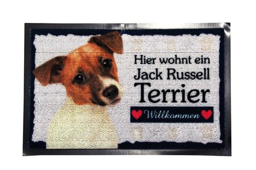 Zerbino jack russel - jack, terrier