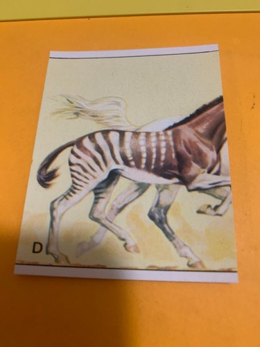 Figurina 229 animali - figurina, n.229