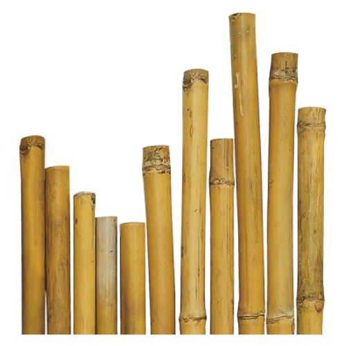 Canna bambu circa 50 pezzi - canna,