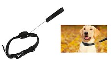 Guinzaglio collare per cani