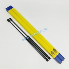 2 ammortizzatori Magneti
