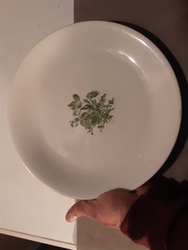 Grande vecchio piatto - vecchio,