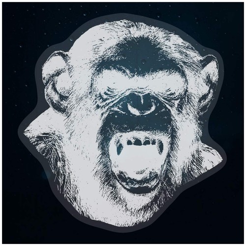 Scimpanzé snarl portrait - 'scimpanzé, portrait'