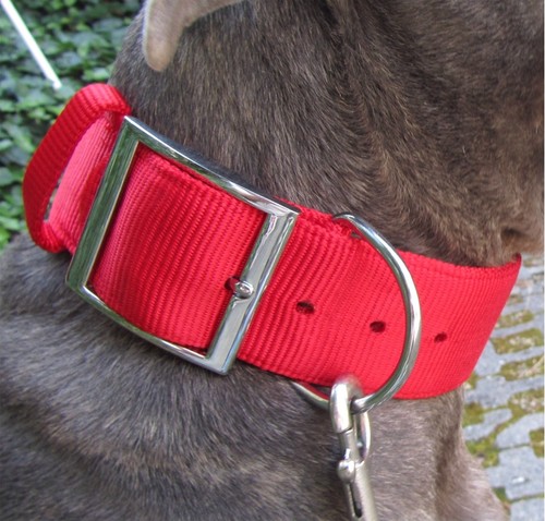Collare nylon rosso bordeaux