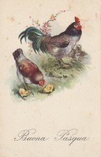 C2- Cp Cartolina Augurale