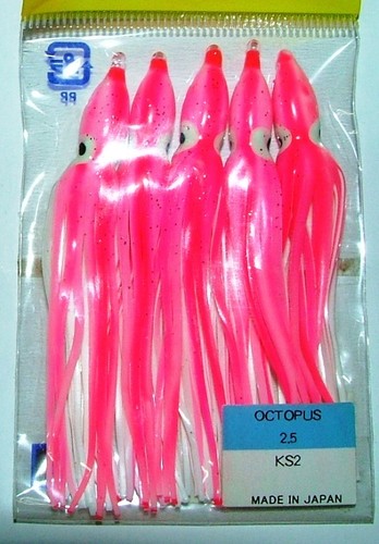 Octopus yamashita colore - octopus,