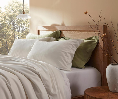 Down feathers pillows standard - feathers,