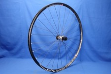Ruota bici posteriore DT Swiss