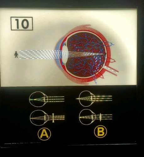 Tavola didattica opticart - didattica, 10