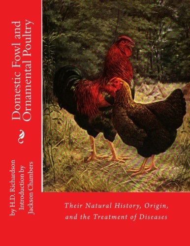 Domestic fowl and - fowl,