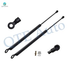 2PC Rear Hatch Lift Supports