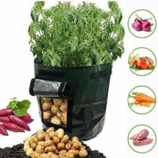 Fioriera Contenitore Sacchetti