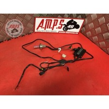 Kit xenon Honda 600 Hornet 1998 à 2002