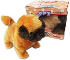 One Puppy Baby Bulldog Mastino