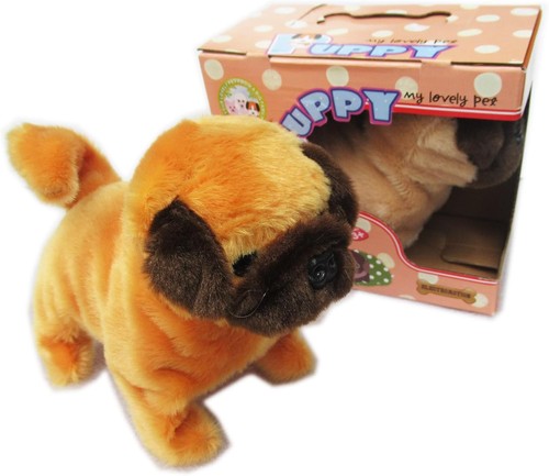 One puppy baby - one,