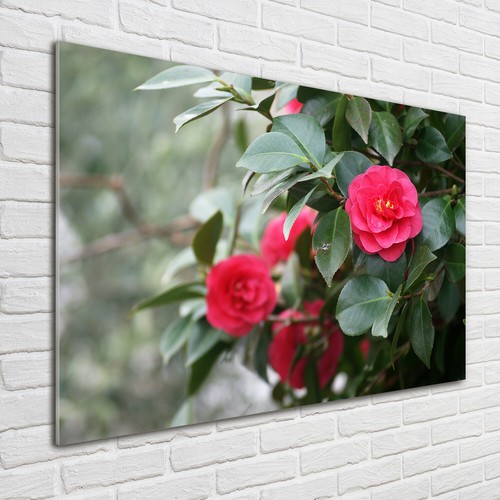 Quadro immagine arte parete - immagine,