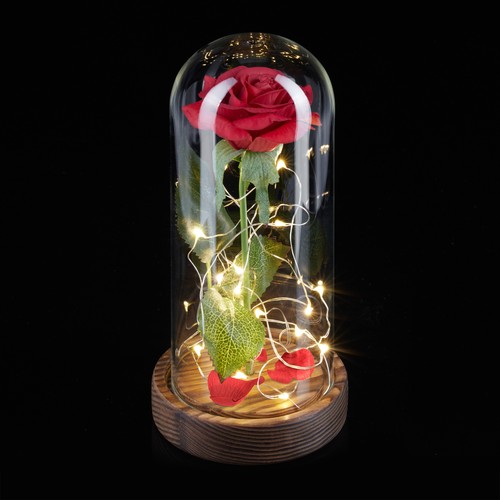 Rosa eterna nella campana - , di