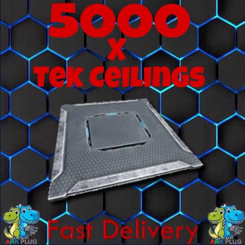 5000 tek soffitti arca - tek,