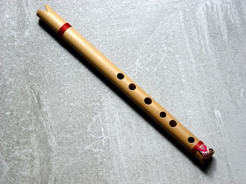 Peruvian pro quena - quena, andina