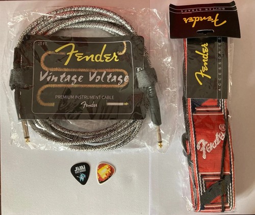 Vendita festa del papà fender - vendita,