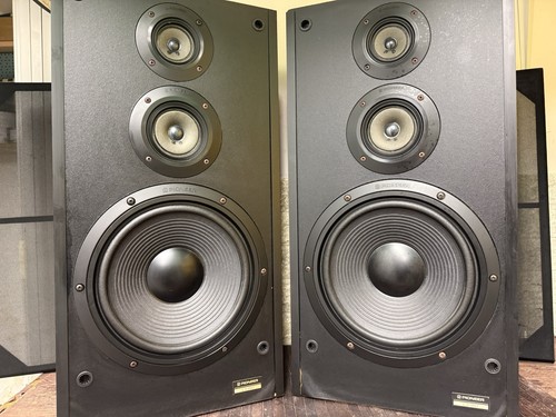 Pioneer 990 coppia - pioneer,