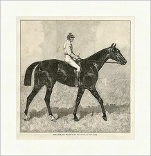 Little Duck, der Gewinner des