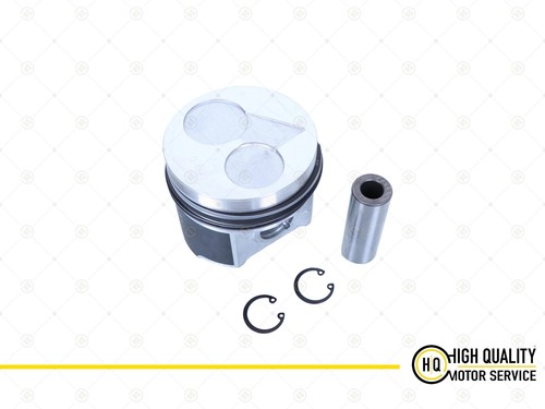 Piston with rings - piston,