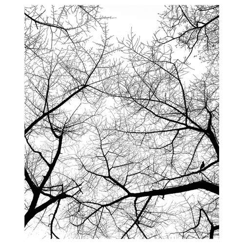 Stampa tela il cielo in - tela,