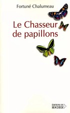Le Chasseur de papillons