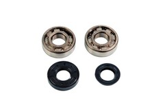 Kit cuscinetti+paraoli albero