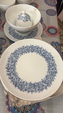 servizio piatti rosenthal