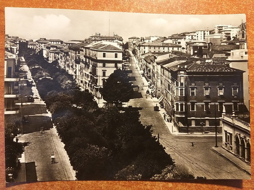 Ancona viale della - -,