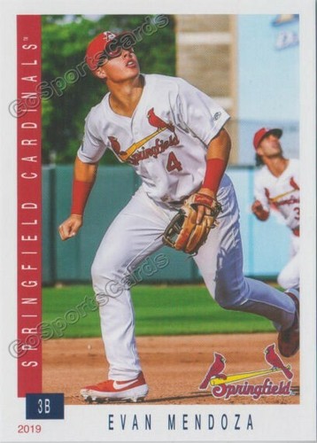 Springfield cardinals 2019 sga - 2019,