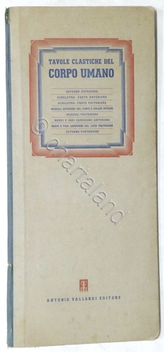 Tavole clastiche anatomiche