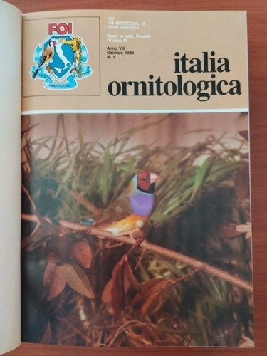 Italia ornitologica anno vi - l'italia,