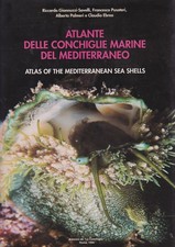 Atlante delle conchiglie
