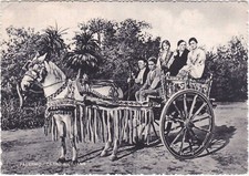 PALERMO - CARRO SICILIANO -