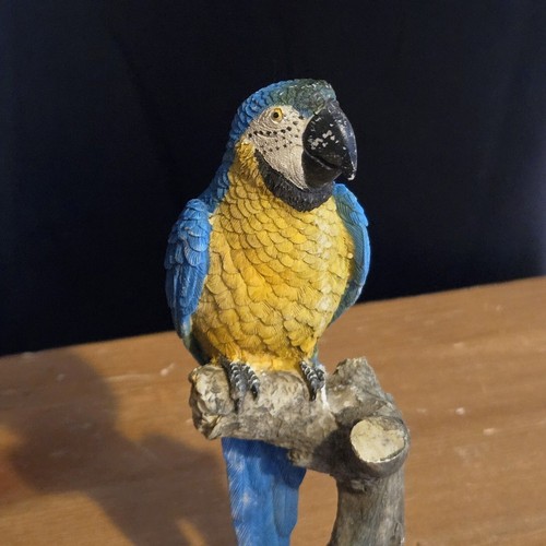 Statuina pappagallo ara blu