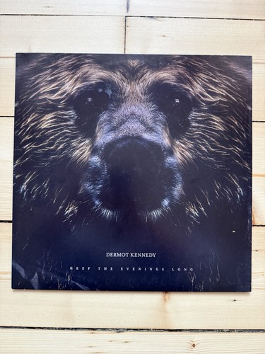 Dermot kennedy keep the - dermot,