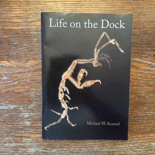 Life the dock - the,