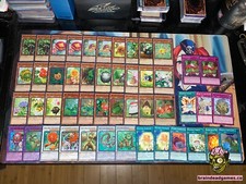 Mazzo di Piante Yugioh Naturia