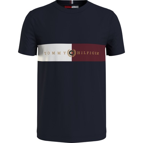 Tommy hilfiger icon - tommy,