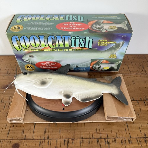 Cool cat fish animato canto - cat,