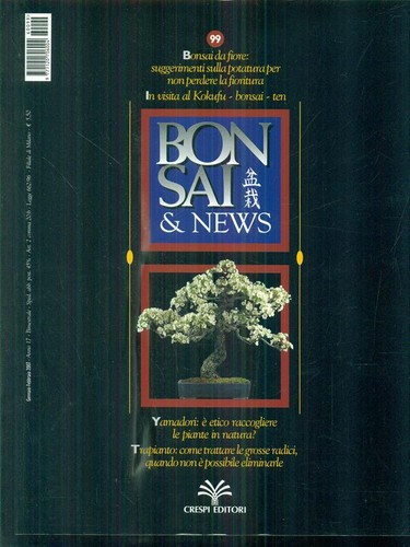 Bonsai news gennaio febbraio - bonsai, gennaio-febbraio
