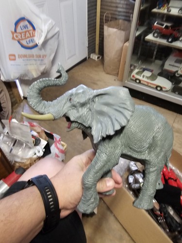 Animal planet 2020 elefante - animal,
